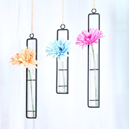 Hanging Glass Planter Water Iron Art Hydroponic Vase Transparent T...