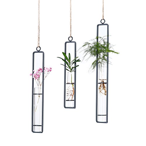 Hanging Glass Planter Water Iron Art Hydroponic Vase Transparent T...