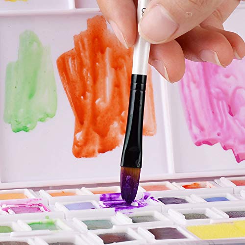 BOMEIJIA Filbert Paint Brushes Set, 12 PCS Artist Brush for Acryli...