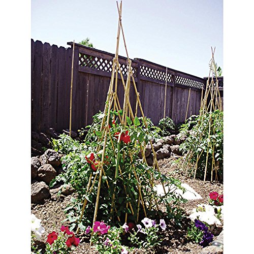 Bond TP48 48 in. Bamboo Teepee Trellis