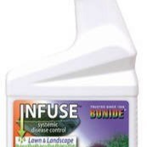 Bonide # 150 Infuse 32 ounce Hose End Ready To Spray Fungicide - Q...