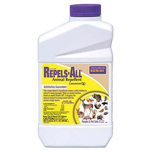 Bonide 237 Ready-to-Use Repels All Rodents, 32-Ounce