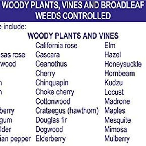 Bonide Pest Repellents Bonide Vine and Stump Killer with Applicat...