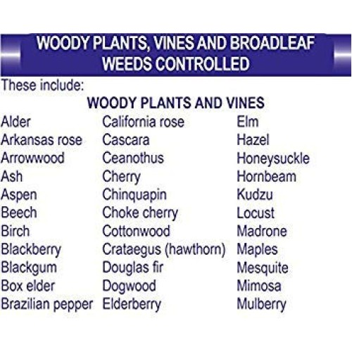 Bonide Pest Repellents Bonide Vine and Stump Killer with Applicat...