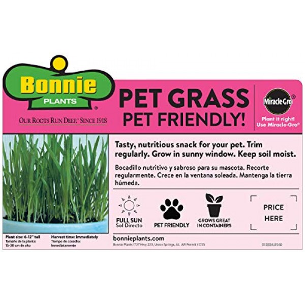 Bonnie Plants Pet Grass Live Edible Plant - 4 Pack, Pet Friendly, ...