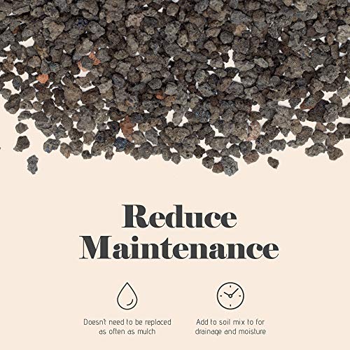 Bonsai Jack - Black 1/4 inch Horticultural Lava Rock Soil Additive...