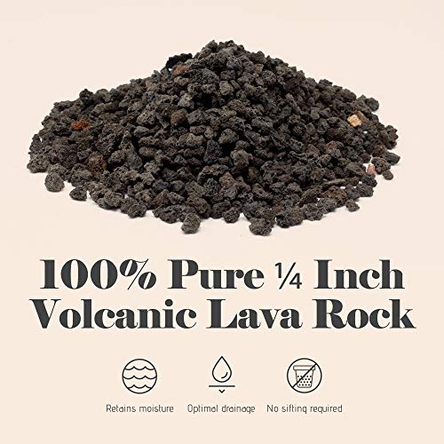 Bonsai Jack - Black 1/4 inch Horticultural Lava Rock Soil Additive...