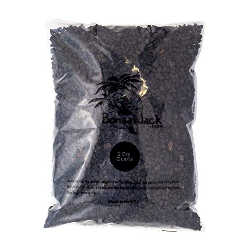 Bonsai Jack - Black 1/4 inch Horticultural Lava Rock Soil Additive...