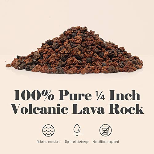 Bonsai Jack - Red/Maroon 1/4 inch Horticultural Lava Rock Soil Add...