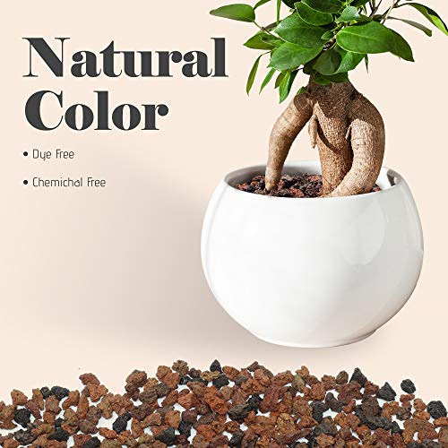 Bonsai Jack - Red/Maroon 1/4 inch Horticultural Lava Rock Soil Add...