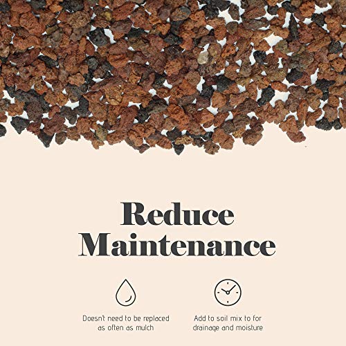 Bonsai Jack - Red/Maroon 1/4 inch Horticultural Lava Rock Soil Add...