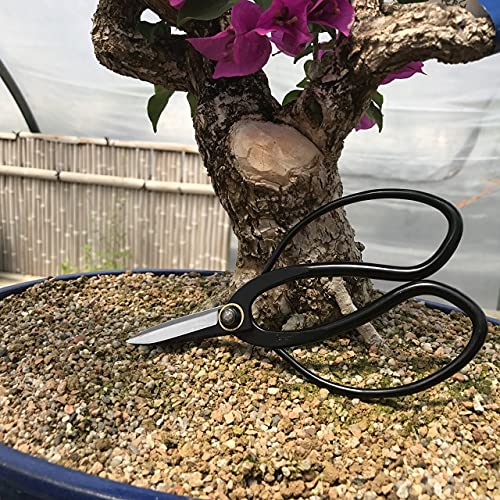 Yoshiaki Bonsai Scissors Pruning Kit - Heavy Duty Japanese Shears,...