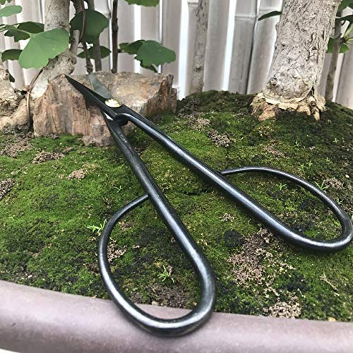 Yoshiaki Bonsai Scissors Pruning Kit - Heavy Duty Japanese Shears,...
