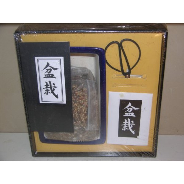 Bonsai Tree Kit with Seeds, Clay Pot and Tools