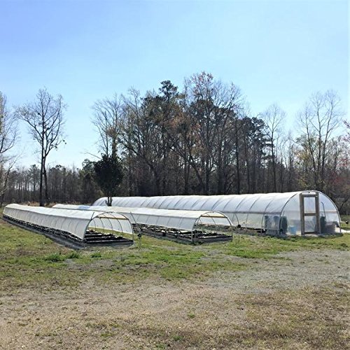 Bootstrap Farmer Greenhouse Plastic 6 mil 28 x 60 UV Resistant C...