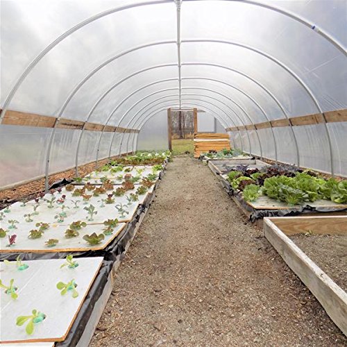 Bootstrap Farmer Greenhouse Plastic 6 mil 28 x 60 UV Resistant C...