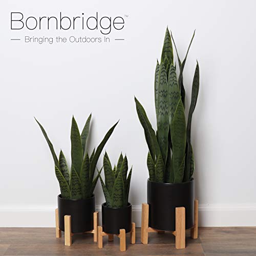 Bornbridge Artificial Snake Plant with Mid Century Plant Stand - S...