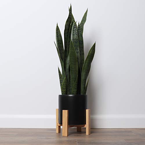 Bornbridge Artificial Snake Plant with Mid Century Plant Stand - S...
