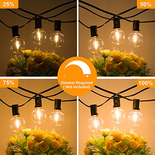 100ft 2-Pack Outdoor G40 LED Globe String Lights Dimmable Waterpro...
