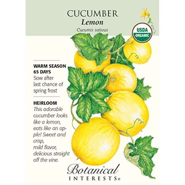 BOTANICAL INTERESTS Organic Cucumber Lemon Seeds, 1 EA