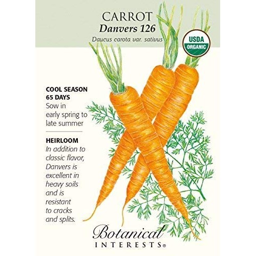 Botanical Interests, Seed Carrot Danvers Organic