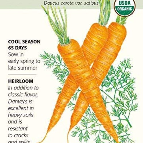 Botanical Interests, Seed Carrot Danvers Organic