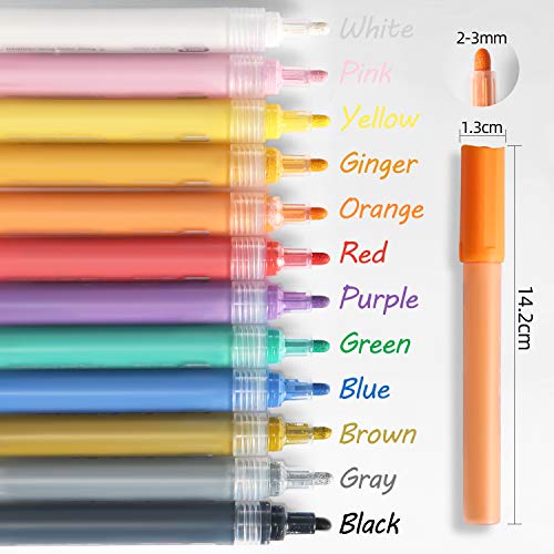 Acrylic Paint Marker Pens-Bouraw Set of 12 Colors for Rocks Painti...