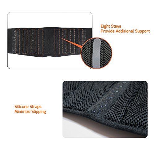 BraceUP Stabilizing Lumbar Lower Back Brace Support Belt Dual Adju...