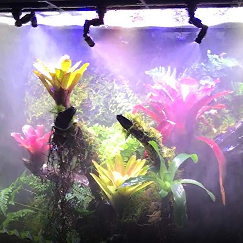 Bracon Mist Sprinkler System - Reptiles Fogger Mist Sprinkler Rain...