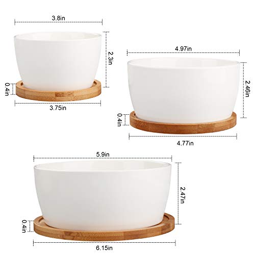 Flower Pots, Brajttt White Succulents Pots, Round Ceramic Plant Po...