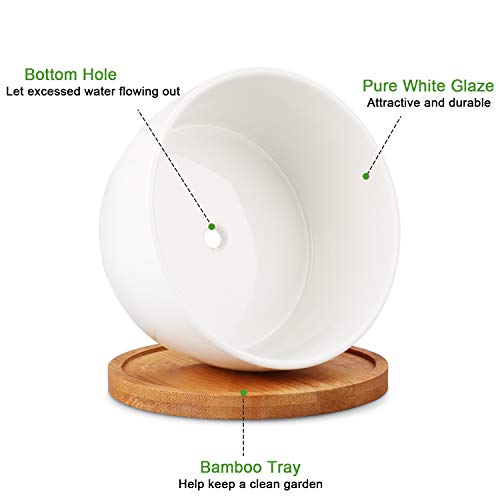 Flower Pots, Brajttt White Succulents Pots, Round Ceramic Plant Po...