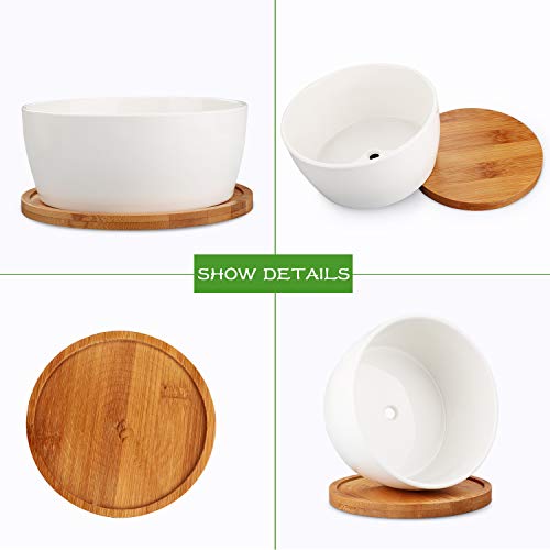 Flower Pots, Brajttt White Succulents Pots, Round Ceramic Plant Po...