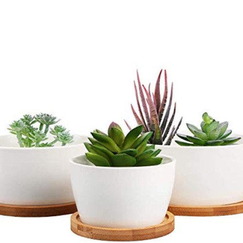 Flower Pots, Brajttt White Succulents Pots, Round Ceramic Plant Po...