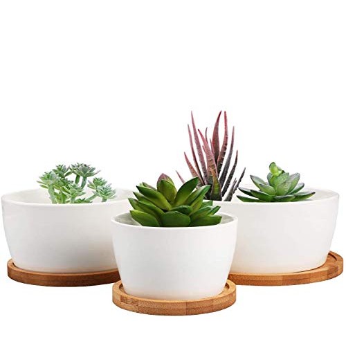 Flower Pots, Brajttt White Succulents Pots, Round Ceramic Plant Po...