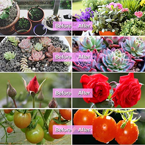 Bseah Grow Light, Plant Lights for Indoor Plants, Auto ON&Off Full...