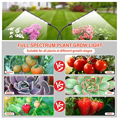 bseah Plant Grow Light for Indoor Plants 2 Pack, Full Spectrum Ind...