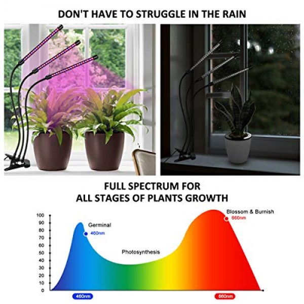 Full Spectrum Grow Light for Indoor Plants, Auto ON & Off Bulbs wi...