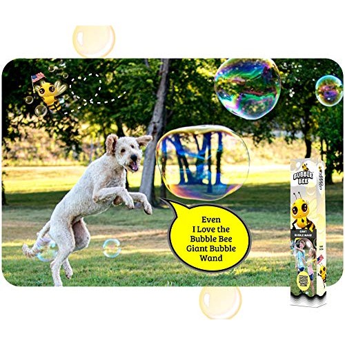 Bubble Bee Giant Bubble Maker Kit : 4-Piece Set | Incl. 2 Large Bu...