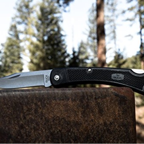 Buck Knives 110 Folding Hunter LT Lightweight Folding Lockback Hun...