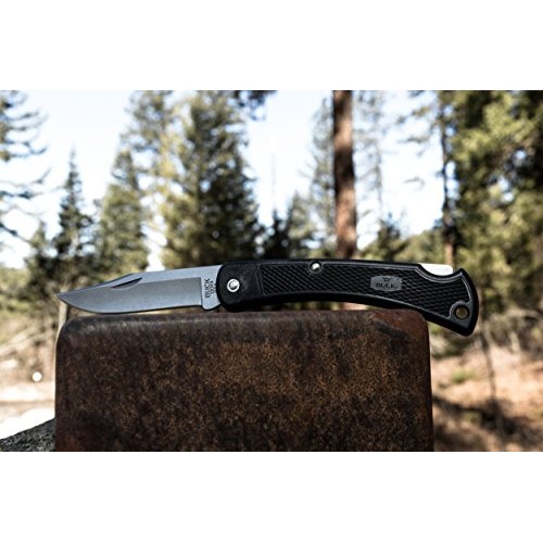 Buck Knives 110 Folding Hunter LT Lightweight Folding Lockback Hun...