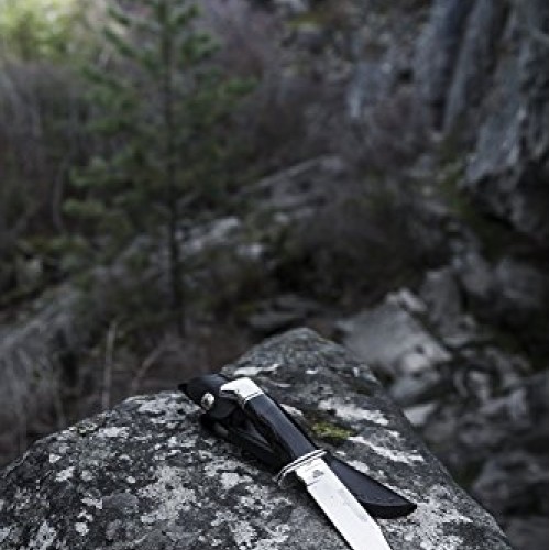 Buck Knives 119 Special Fixed Blade Knife with Leather Sheath - Bl...