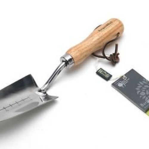 Burgon & Ball GTH/STPRHS Stainless Steel Transplant Trowel, 2.25 b...