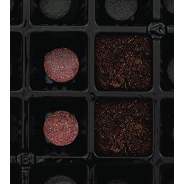 Burpee 36 Cell Seed Starting Kit, One Size