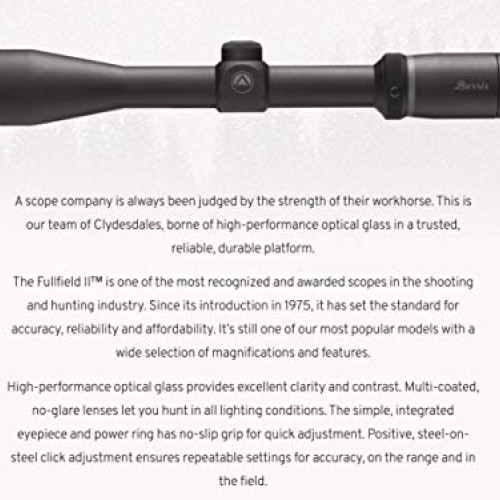 BURRIS FullField II 3-9x40 Scope, Ballistic Plex Reticle, Matte Bl...