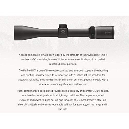 BURRIS FullField II 3-9x40 Scope, Ballistic Plex Reticle, Matte Bl...