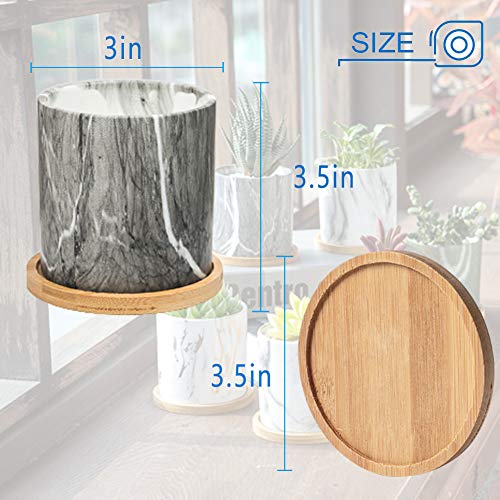 BUYMAX Succulent Plant Pots, 3.1 inch Marbling Ceramic Glazed Plan...