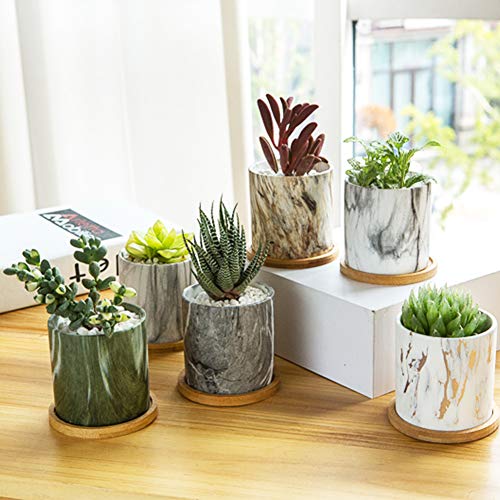 BUYMAX Succulent Plant Pots, 3.1 inch Marbling Ceramic Glazed Plan...