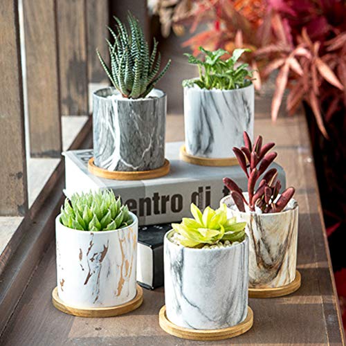 BUYMAX Succulent Plant Pots, 3.1 inch Marbling Ceramic Glazed Plan...
