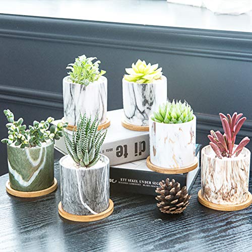 BUYMAX Succulent Plant Pots, 3.1 inch Marbling Ceramic Glazed Plan...