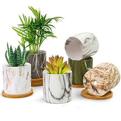 BUYMAX Succulent Plant Pots, 3.1 inch Marbling Ceramic Glazed Plan...